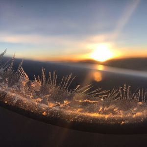 Meet your Posher, Annalisa